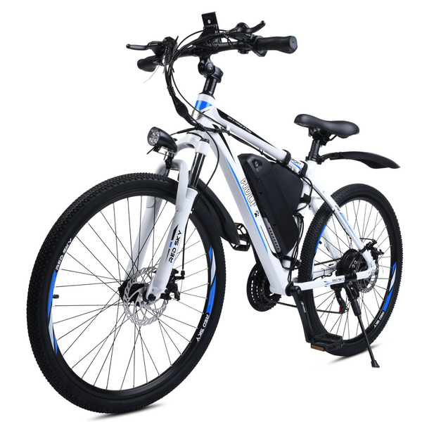 Redsky Wolf Electric Bike